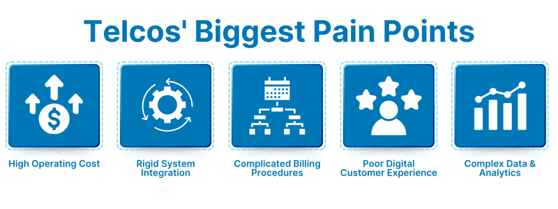 Telco's Biggest Pain Points
